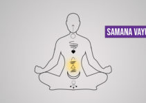 Samana Vayu: Imbalance Symptoms and How to Balance It