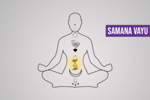 Samana Vayu