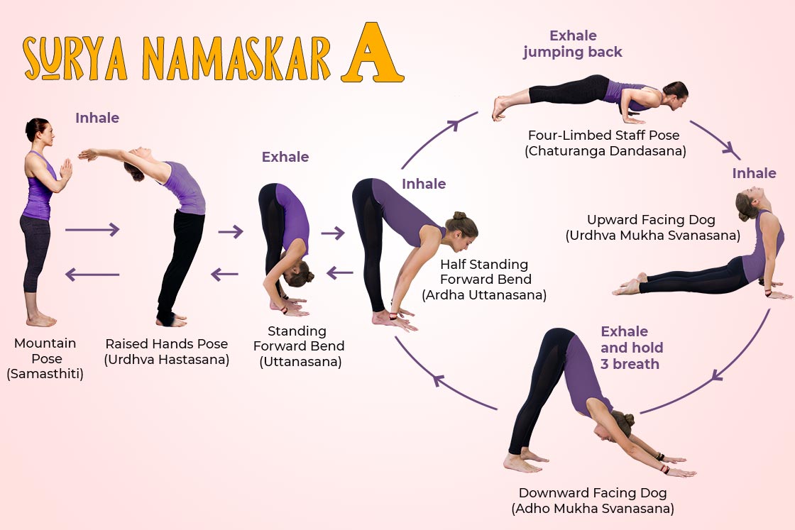 Twelve postures of Surya namaskar in a series  Download Scientific Diagram