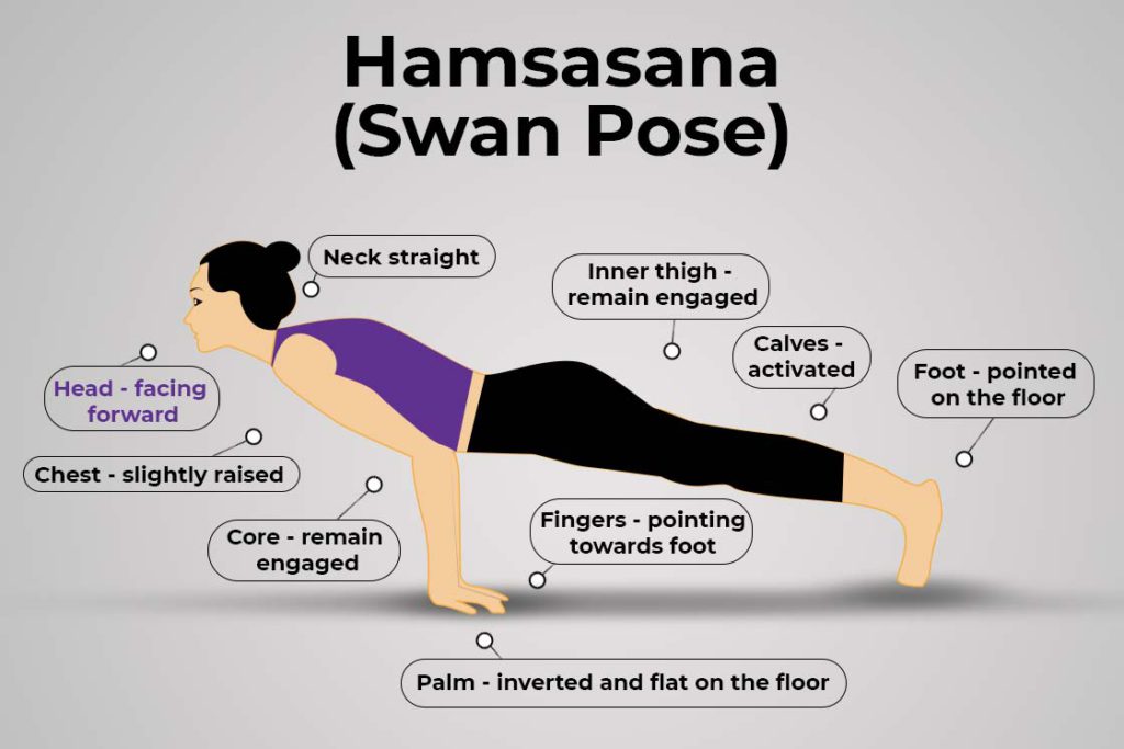Woman Doing Yoga Asana, Swan Pose Vector Illustration Stock Vector -  Illustration of sport, girl: 215590531