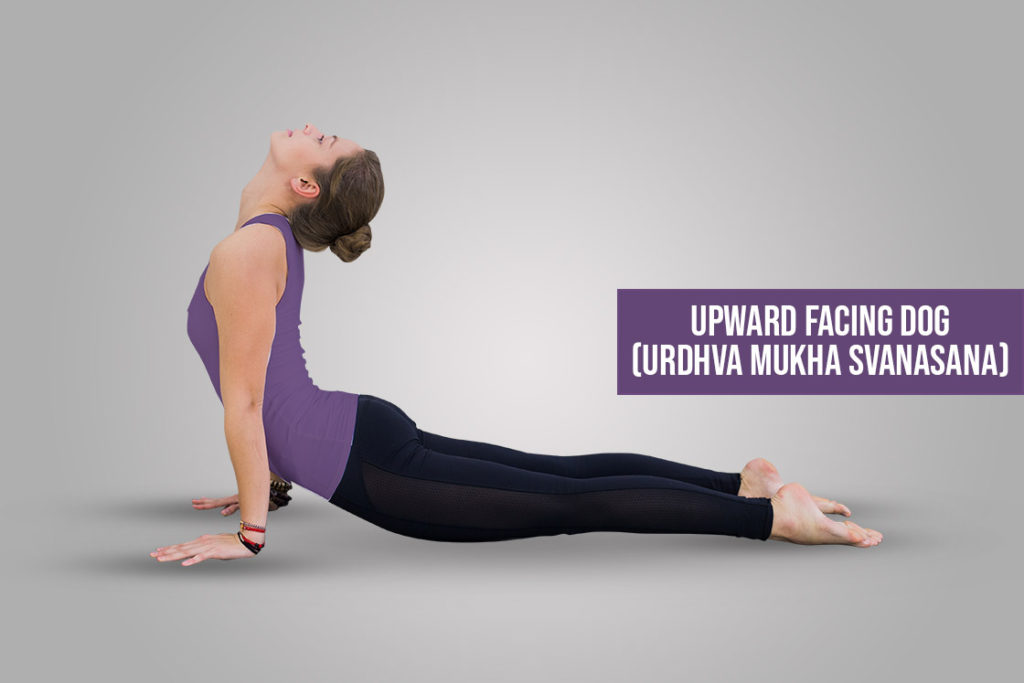 Upward-Facing-Dog