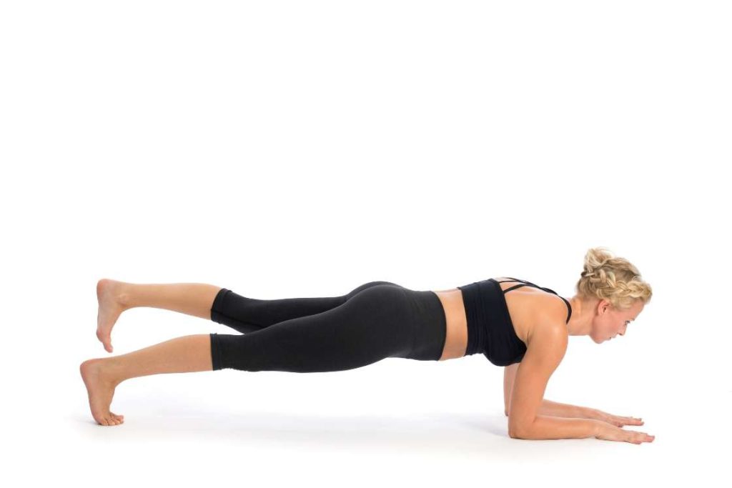 dolphin plank one leg raised