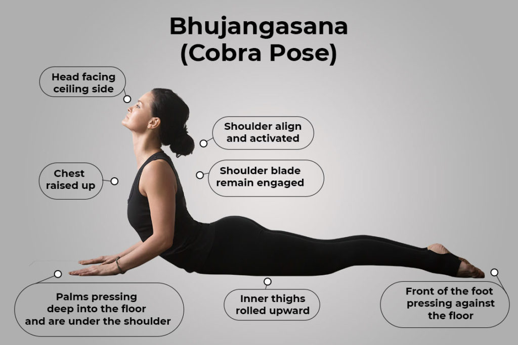 How to Do Bhujangasana (Cobra Pose) Steps | Benefits of Bhujangasana