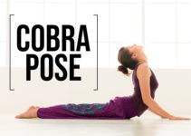 cobra pose (bhujangasana)