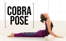 cobra pose (bhujangasana)