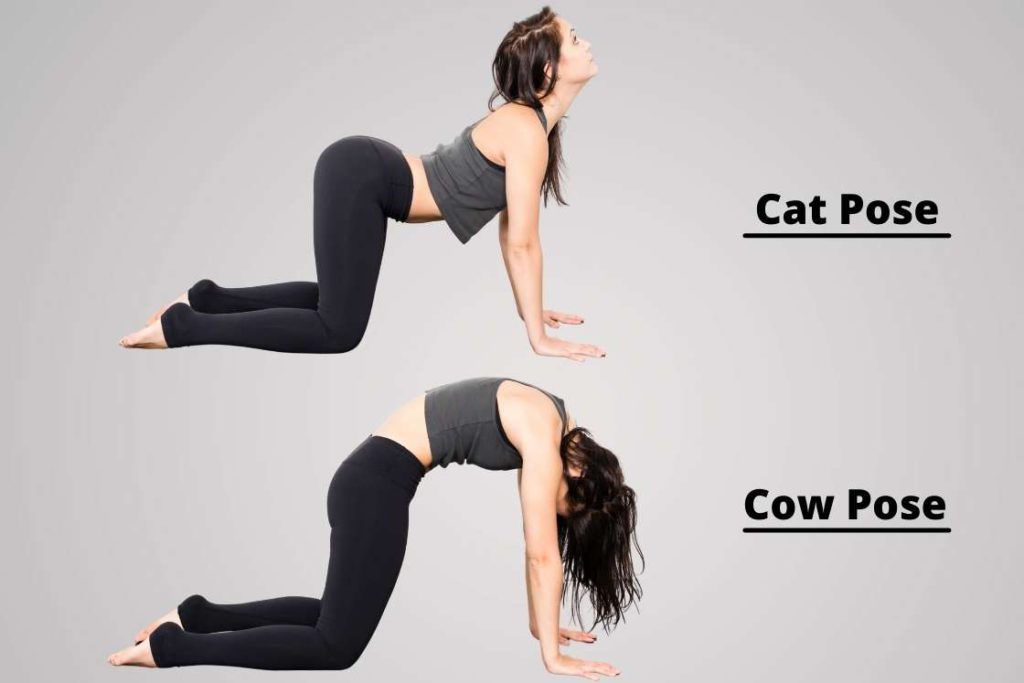 Chakra Yoga The Best Yoga Poses For Balancing 7 Chakras Fitsri Yoga 