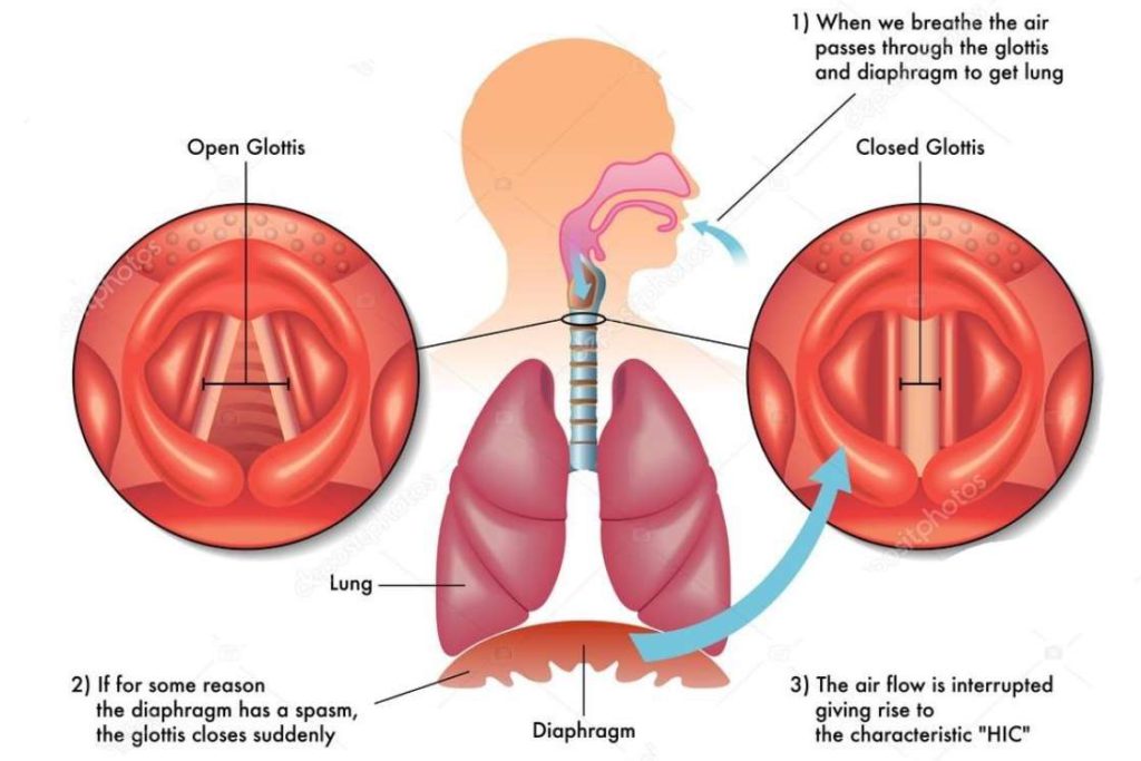 ujjayi breathing construct - glottis and diaphragm