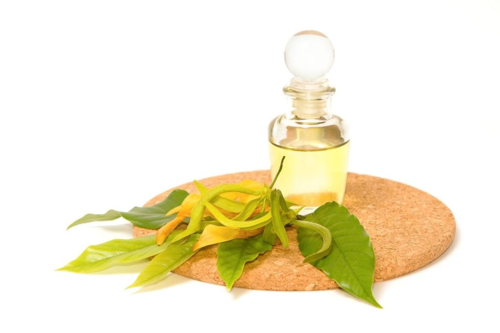 Ylang Ylang essential oil sacral chakra