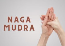 Naga Mudra – The Mudra to Solve Your Everyday Problems