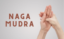 Naga Mudra
