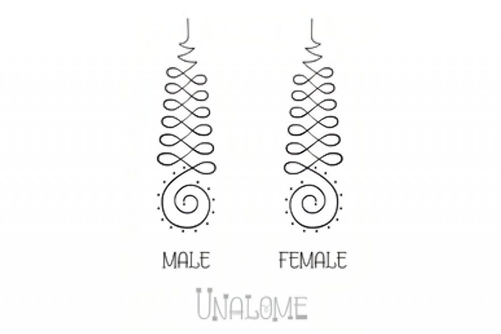 male and female Unalome