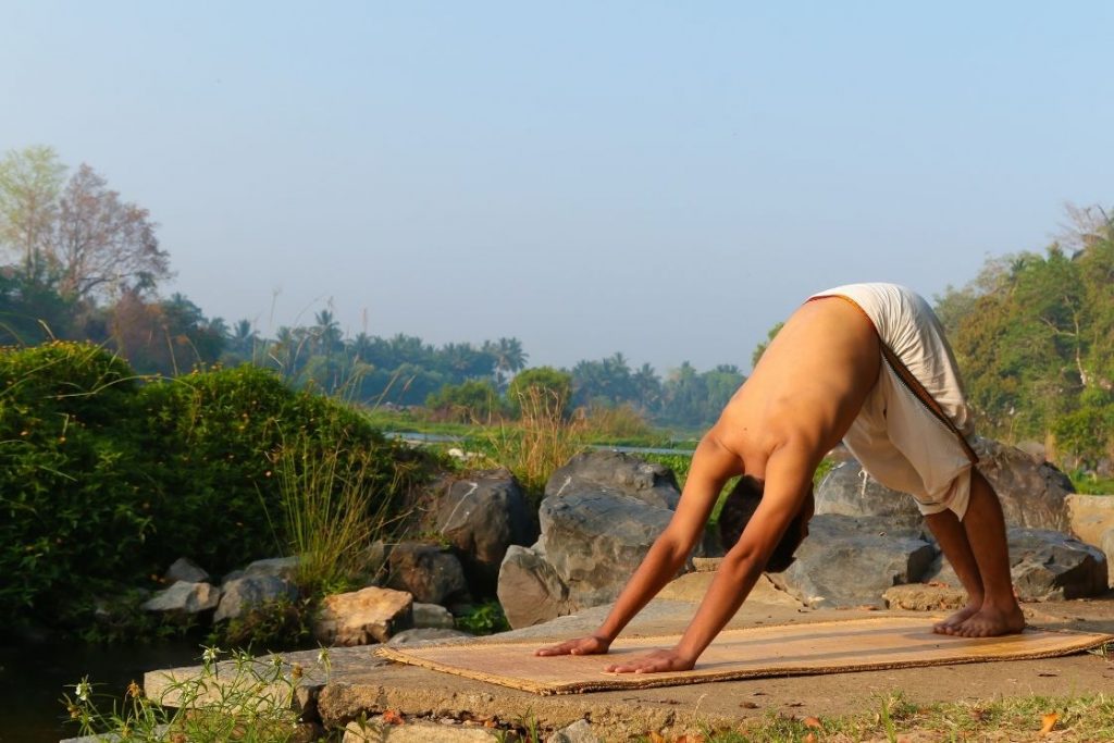 what-is-a-yogi-1024x683.jpg