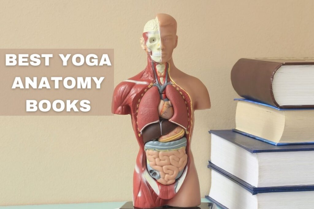 Best Yoga Anatomy Books