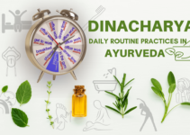 Dincharya: 11 Ayurvedic Daily Routine Practices for a Healthier Life