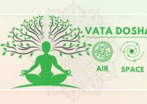 Beginner’s Guide to Vata Dosha: Symptoms, Causes and Tips to Balance