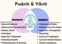 Exploring The Concept of Prakriti and Vikriti (Your Ayurvedic Body Constitution)