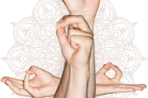 5 Powerful Hand Mudras for Meditation