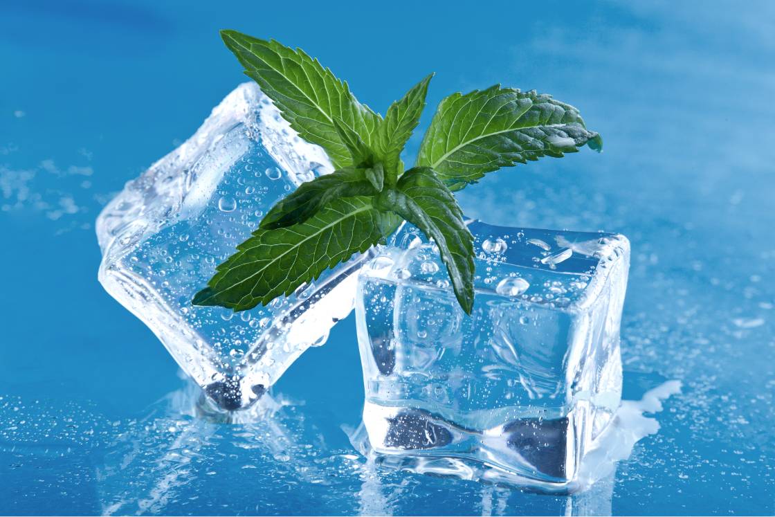 6 Cooling Herbs to Balance Your Pitta Dosha Symptoms