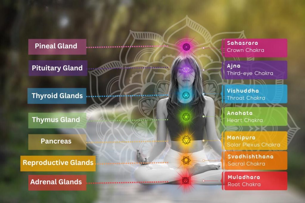 Chakra Basics & How To Balance Your Chakra Through Yoga Asana - The  Wellness Corner