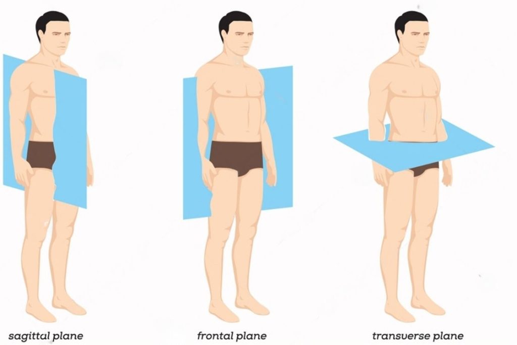 The 3 Anatomical Body Planes and The Movements In Each