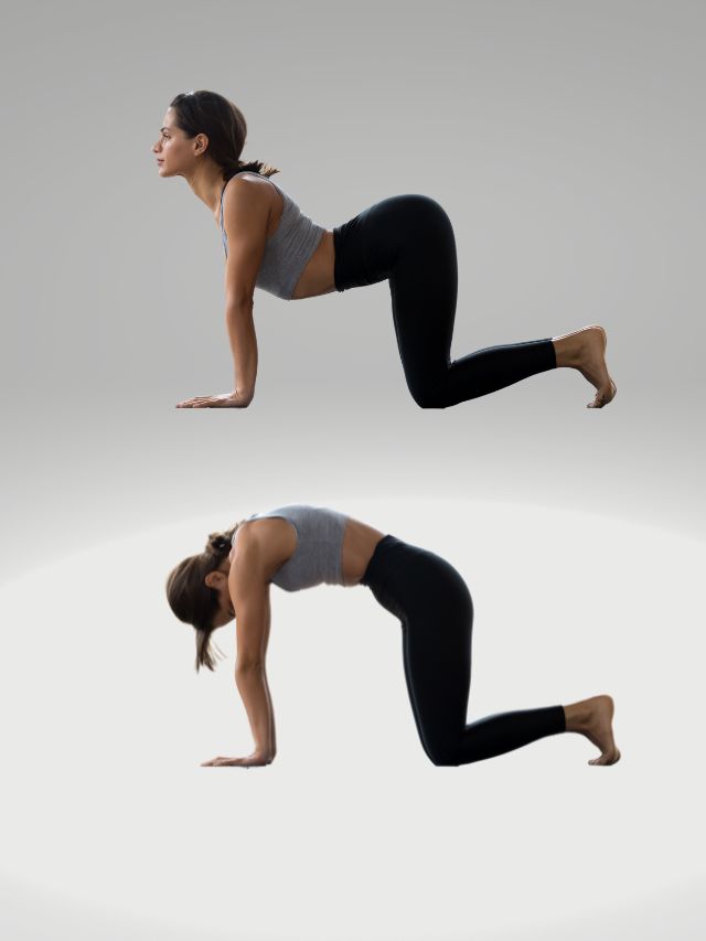 Cat Cow Yoga Pose to Correct Bad Posture