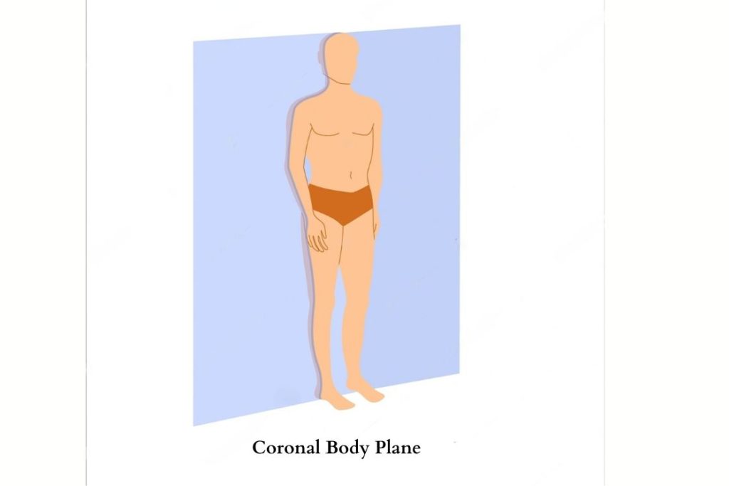 Coronal Body Plane