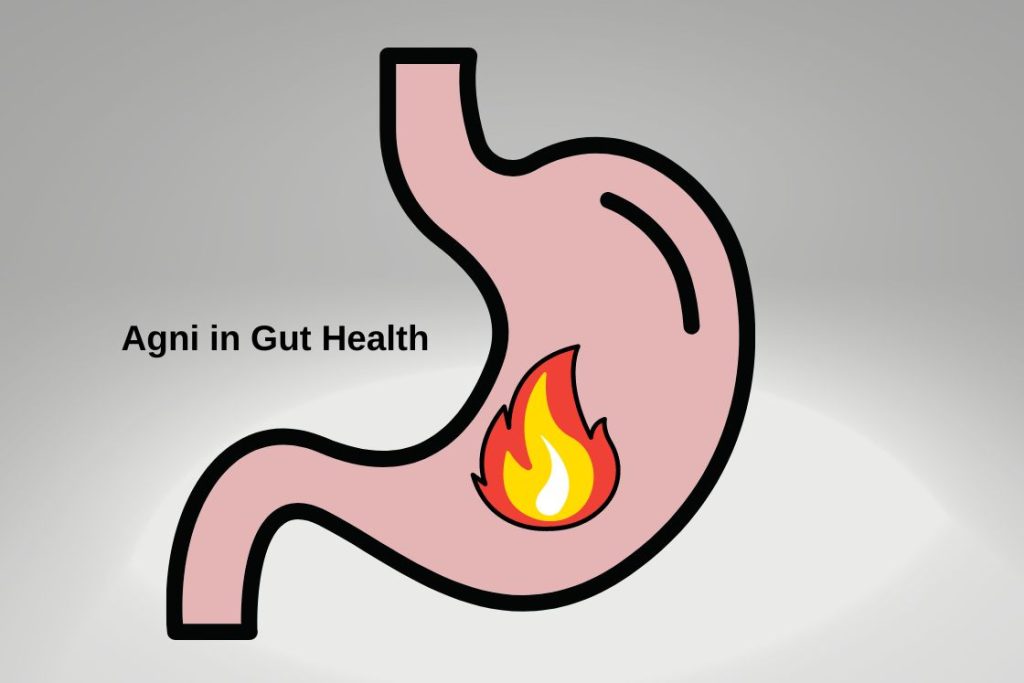 Role Agni in Gut Health