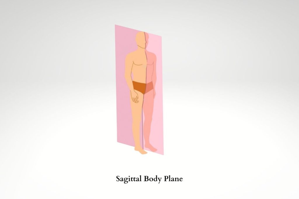 Sagittal Body Plane