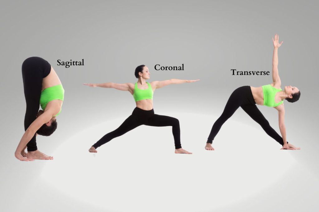 Three Anatomical Planes of Body Movement in Yoga