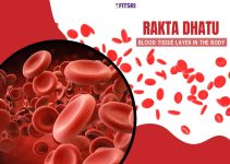 Rakta Dhatu: Understanding the Blood Tissue Layer in Ayurveda