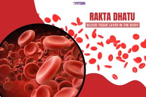 Rakta Dhatu: Understanding the Blood Tissue Layer in Ayurveda