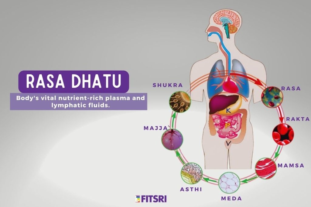 Rasa Dhatu in Ayurveda