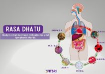 Rasa Dhatu: Understanding the First Tissue Layer in Ayurveda