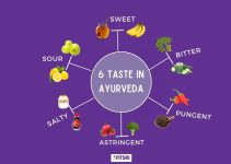 The Six Tastes(Rasas) in Ayurveda